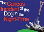 Please click Curious Incident of The Dog in the Night Time theatre package