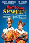 Please click Spamalot theatre ticket offer